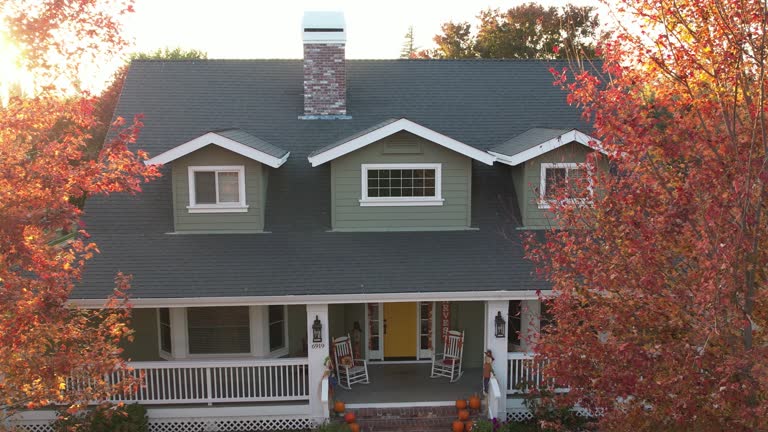 Best Roof Moss and Algae Removal  in Grandview, MO